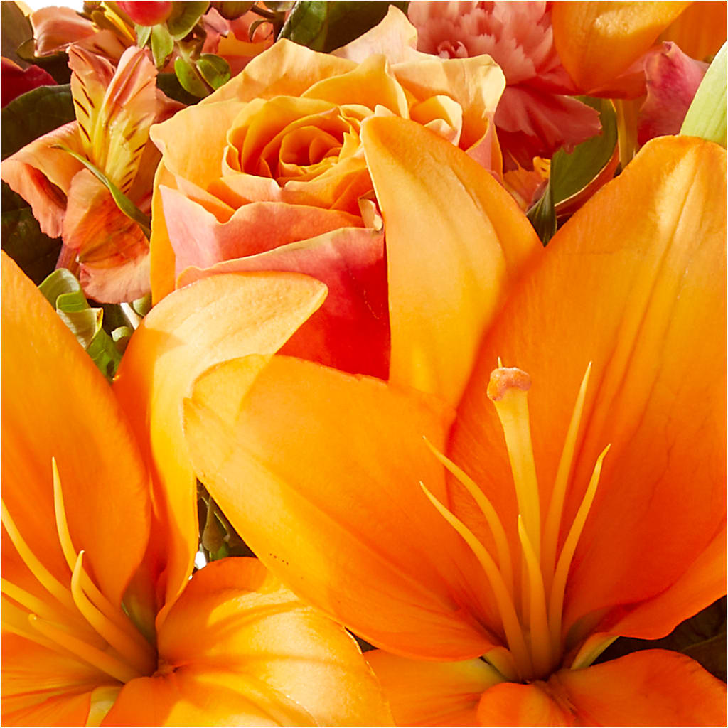 Afternoon Light Bouquet –  Dreamy Flowers Llc, Wesley Chapel FL