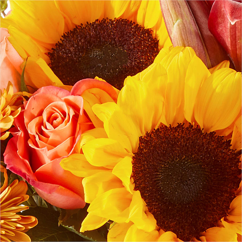 Acorn Lane Bouquet –  Dreamy Flowers Llc, Wesley Chapel FL