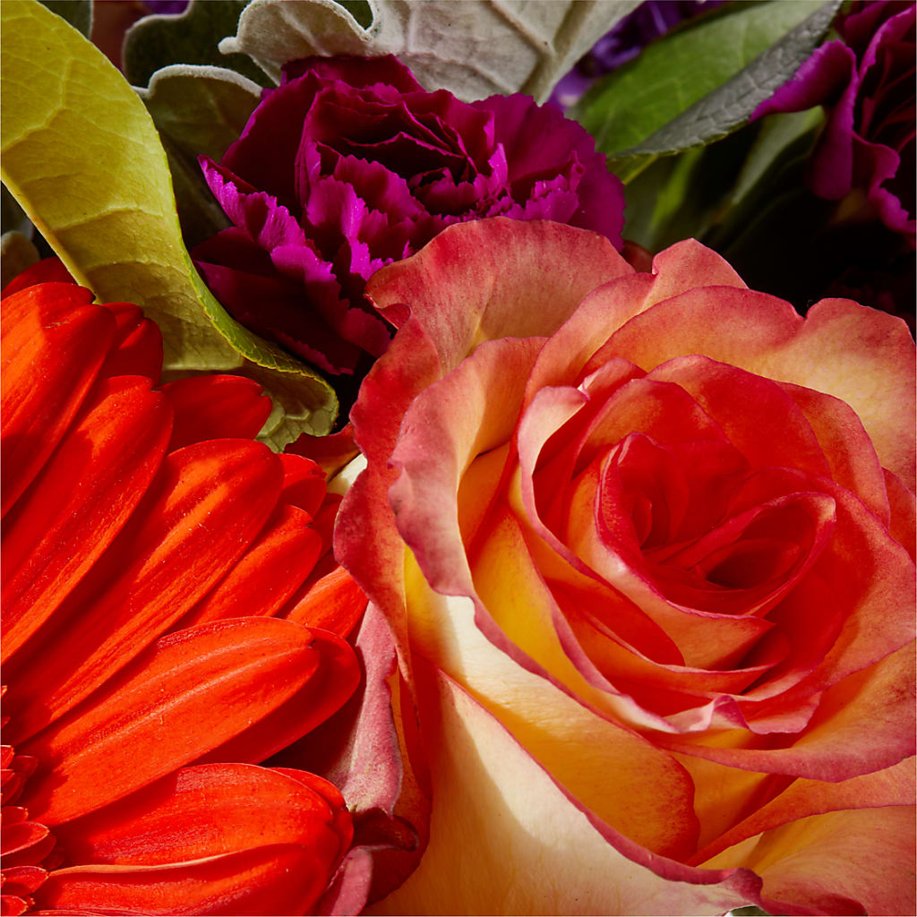 Sangria Bouquet –  Dreamy Flowers Llc, Wesley Chapel FL