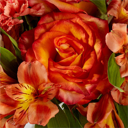 Apricot Glow Bouquet –  Dreamy Flowers Llc, Wesley Chapel FL