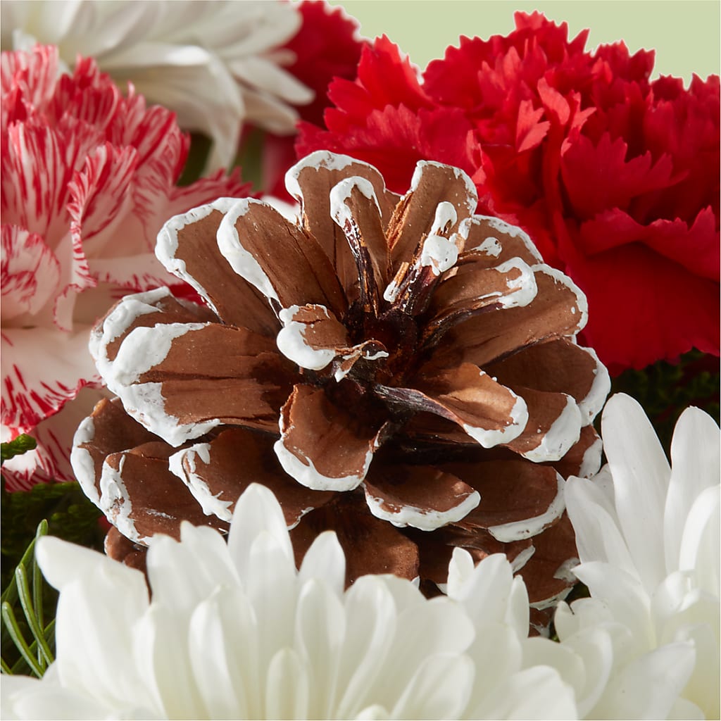 Candy Cane Lane Bouquet –  Dreamy Flowers Llc, Wesley Chapel FL