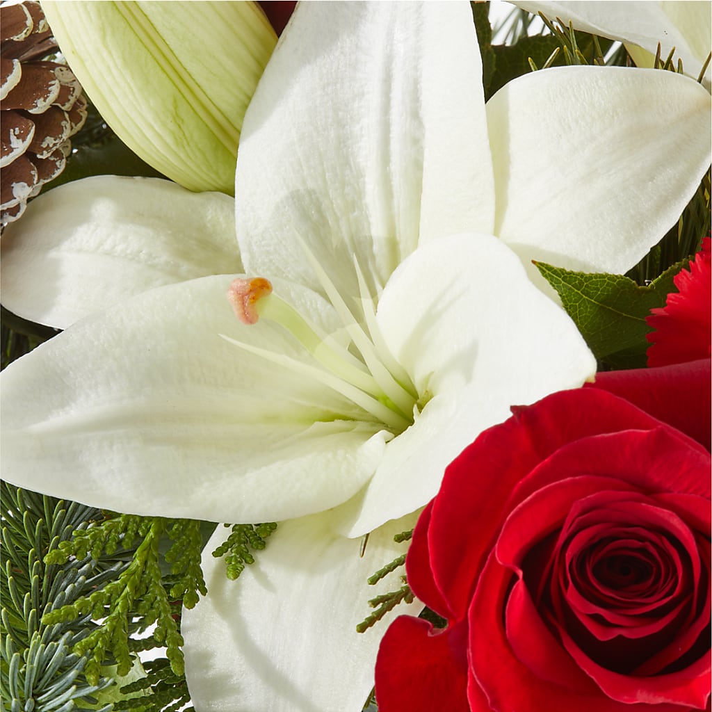 Oh So Jolly Bouquet –  Dreamy Flowers Llc, Wesley Chapel FL