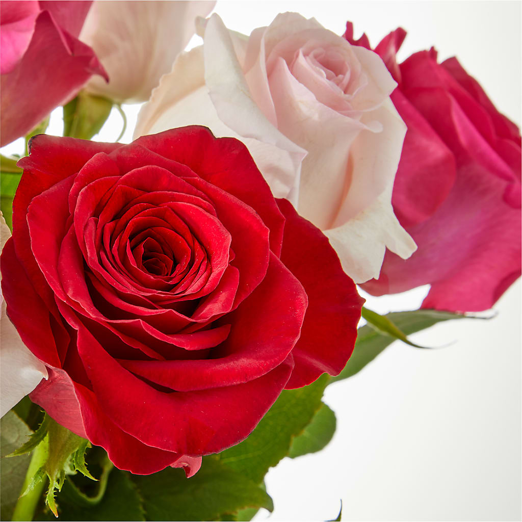 Charming Rose Bouquet –  Dreamy Flowers Llc, Wesley Chapel FL