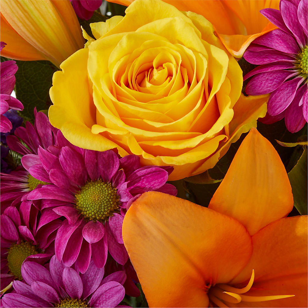 Colorful Visions Bouquet –  Dreamy Flowers Llc, Wesley Chapel FL