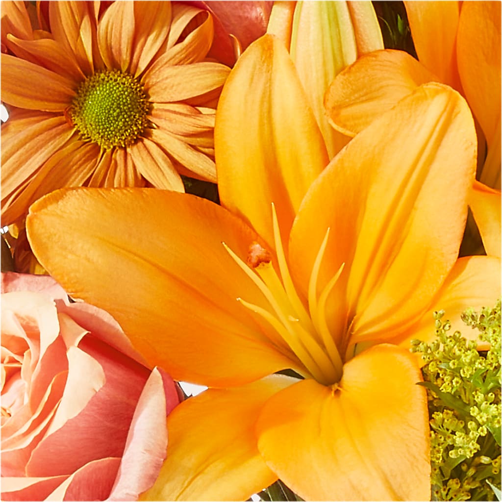 Harvest Hayride Bouquet –  Dreamy Flowers Llc, Wesley Chapel FL