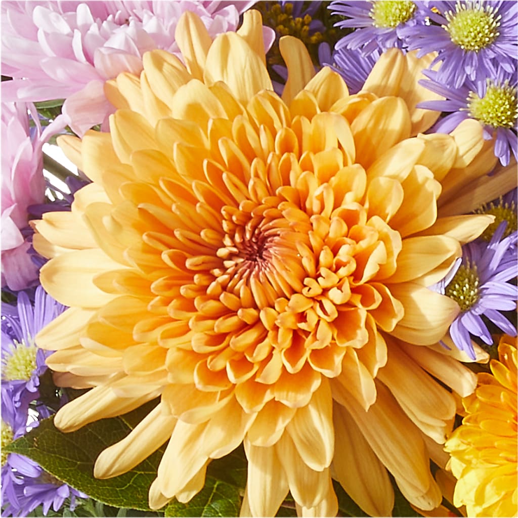 Countryside Bouquet –  Dreamy Flowers Llc, Wesley Chapel FL