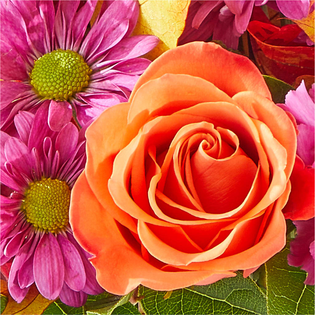 Mum's the Word Bouquet –  Dreamy Flowers Llc, Wesley Chapel FL