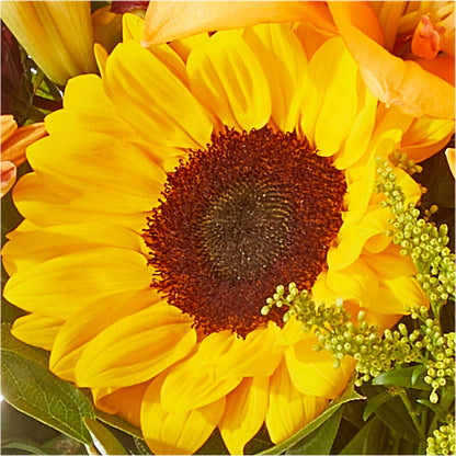 Seasons Change Bouquet –  Dreamy Flowers Llc, Wesley Chapel FL