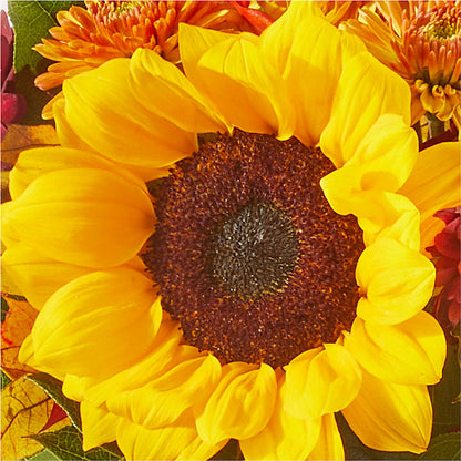 Sunny Side Bouquet –  Dreamy Flowers Llc, Wesley Chapel FL