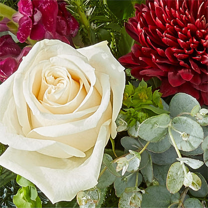 Cranberry Fizz Bouquet –  Dreamy Flowers Llc, Wesley Chapel FL