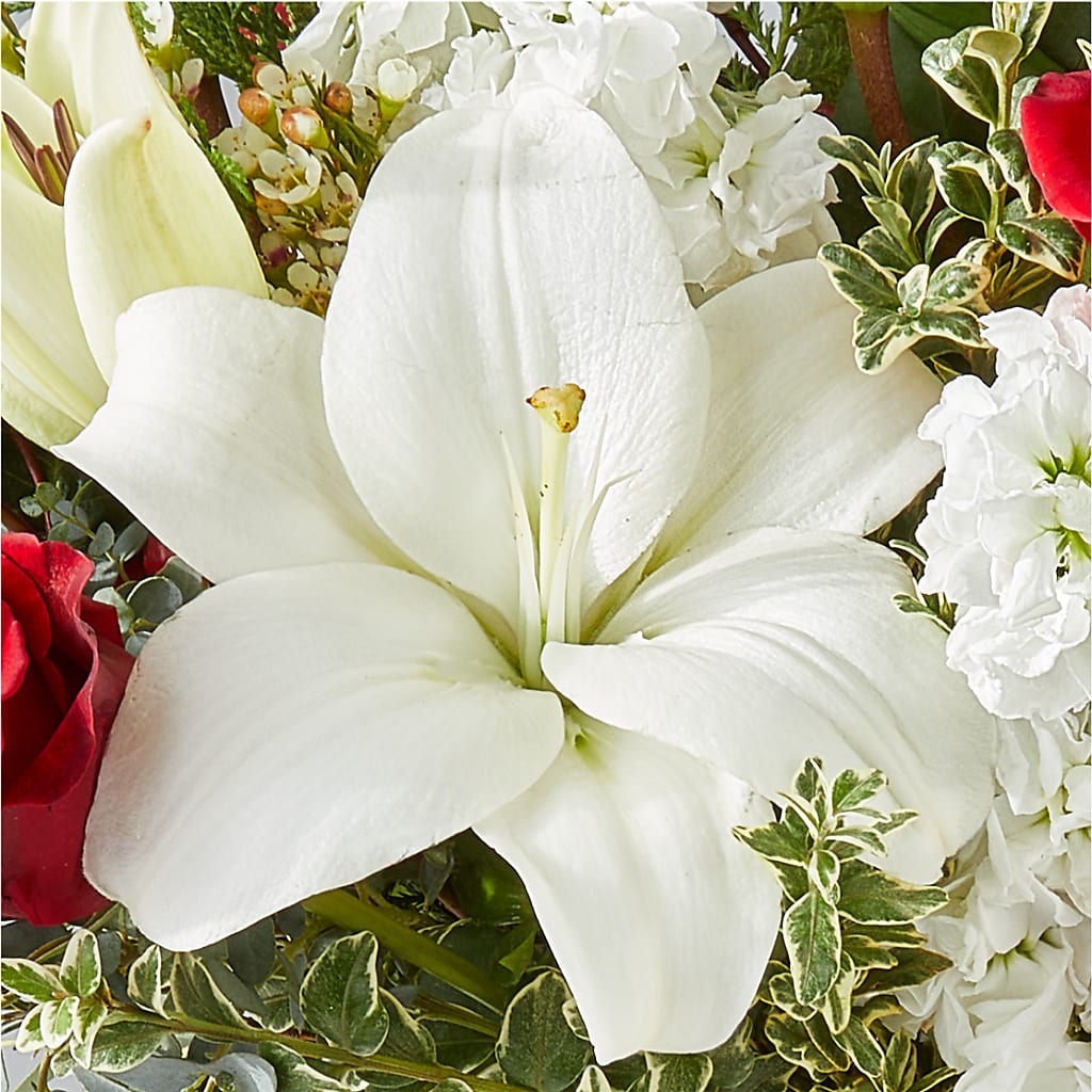 Twinkle Lights Bouquet –  Dreamy Flowers Llc, Wesley Chapel FL