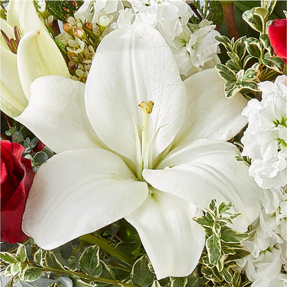 Twinkle Lights Bouquet –  Dreamy Flowers Llc, Wesley Chapel FL