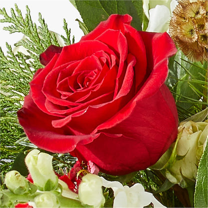 Deck the Halls Bouquet –  Dreamy Flowers Llc, Wesley Chapel FL
