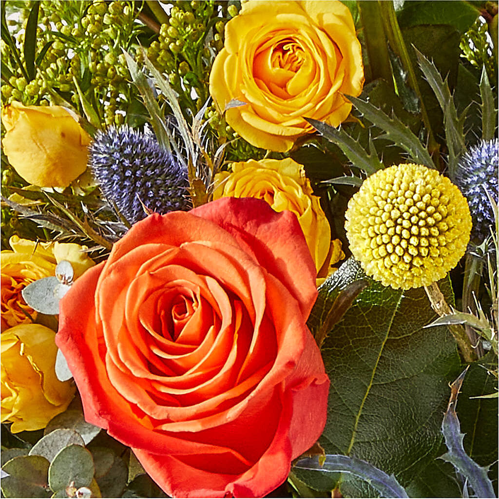 Disco Bouquet –  Dreamy Flowers Llc, Wesley Chapel FL