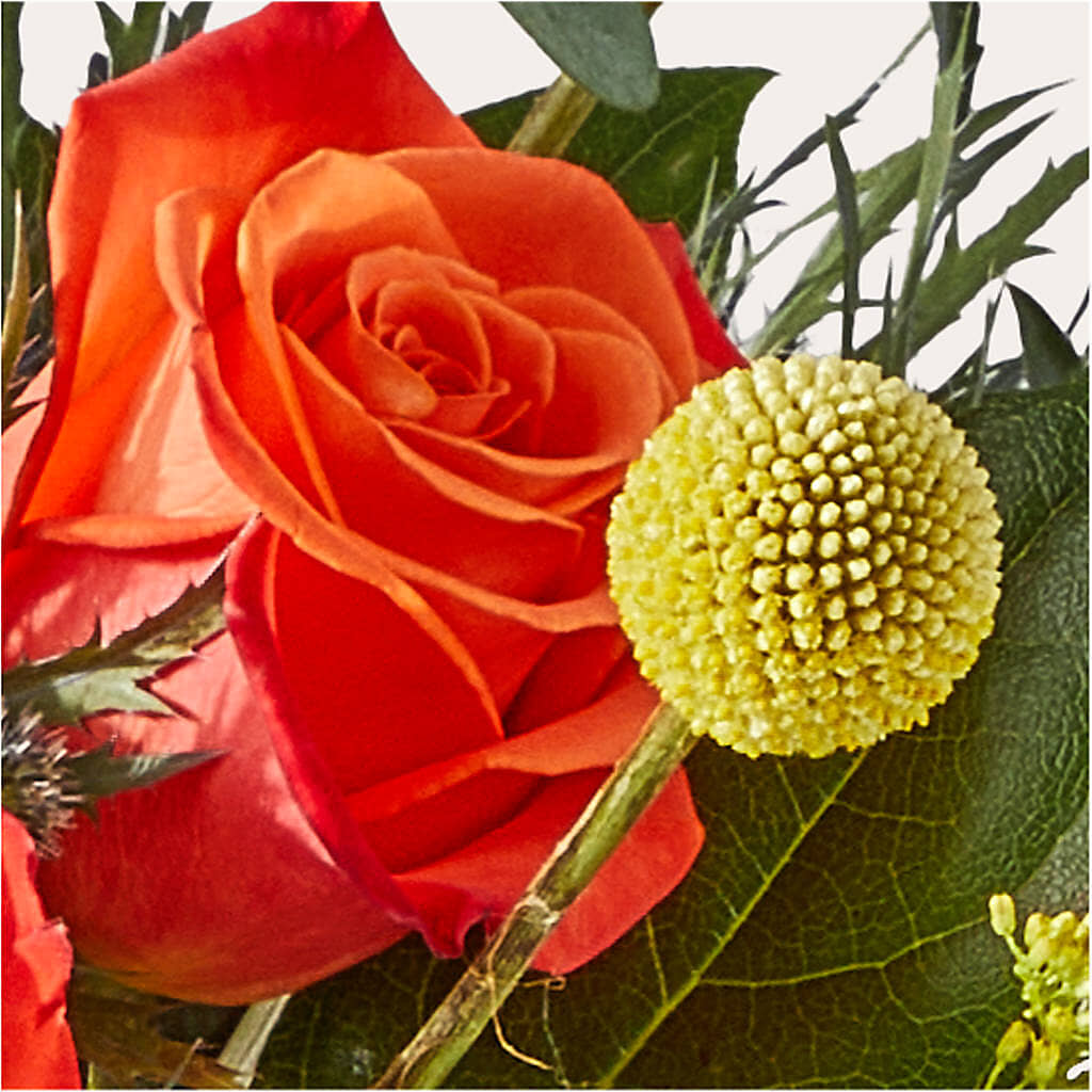 Disco Bouquet –  Dreamy Flowers Llc, Wesley Chapel FL
