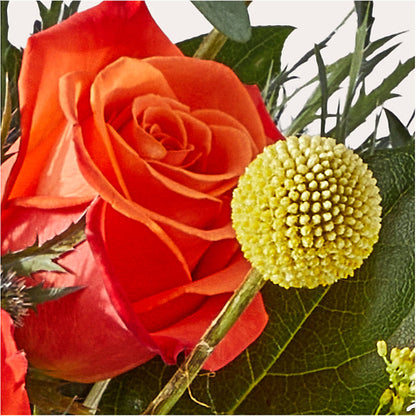 Disco Bouquet –  Dreamy Flowers Llc, Wesley Chapel FL