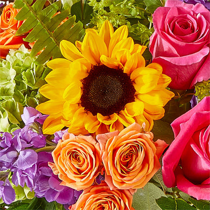 Vibrant Greetings Bouquet –  Dreamy Flowers Llc, Wesley Chapel FL