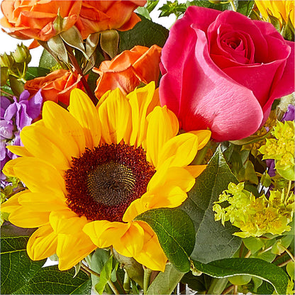 Vibrant Greetings Bouquet –  Dreamy Flowers Llc, Wesley Chapel FL