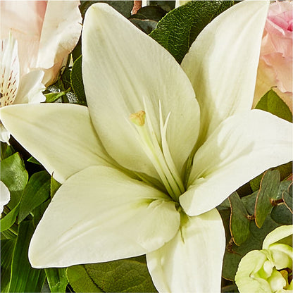 Ballet Slippers Bouquet –  Dreamy Flowers Llc, Wesley Chapel FL