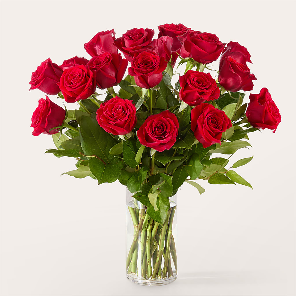 The One Red Rose Bouquet –  Dreamy Flowers Llc, Wesley Chapel FL
