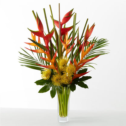 The Drama –  Dreamy Flowers Llc, Wesley Chapel FL