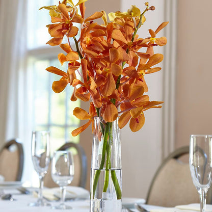 Orange Mokara Bud Vase –  Dreamy Flowers Llc, Wesley Chapel FL