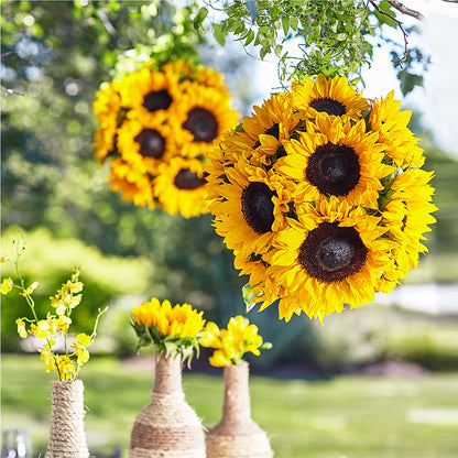 Sublime Garden Hanging Arrangement –  Dreamy Flowers Llc, Wesley Chapel FL