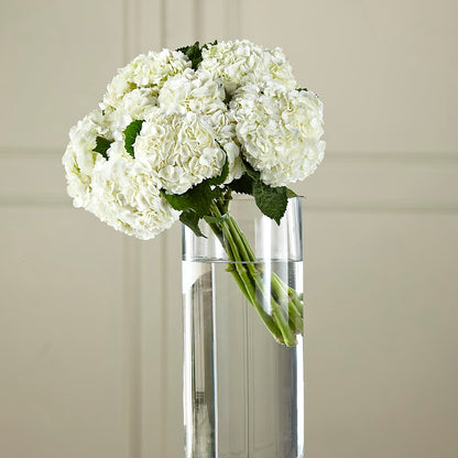 White Hydrangea Hand-Tied Bouquet –  Dreamy Flowers Llc, Wesley Chapel FL