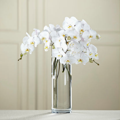 White Phalaenopsis Bouquet –  Dreamy Flowers Llc, Wesley Chapel FL