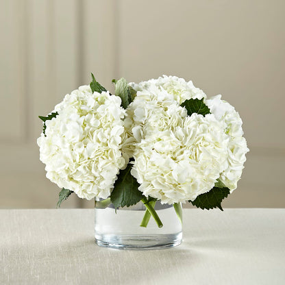 White Hydrangea Bouquet –  Dreamy Flowers Llc, Wesley Chapel FL