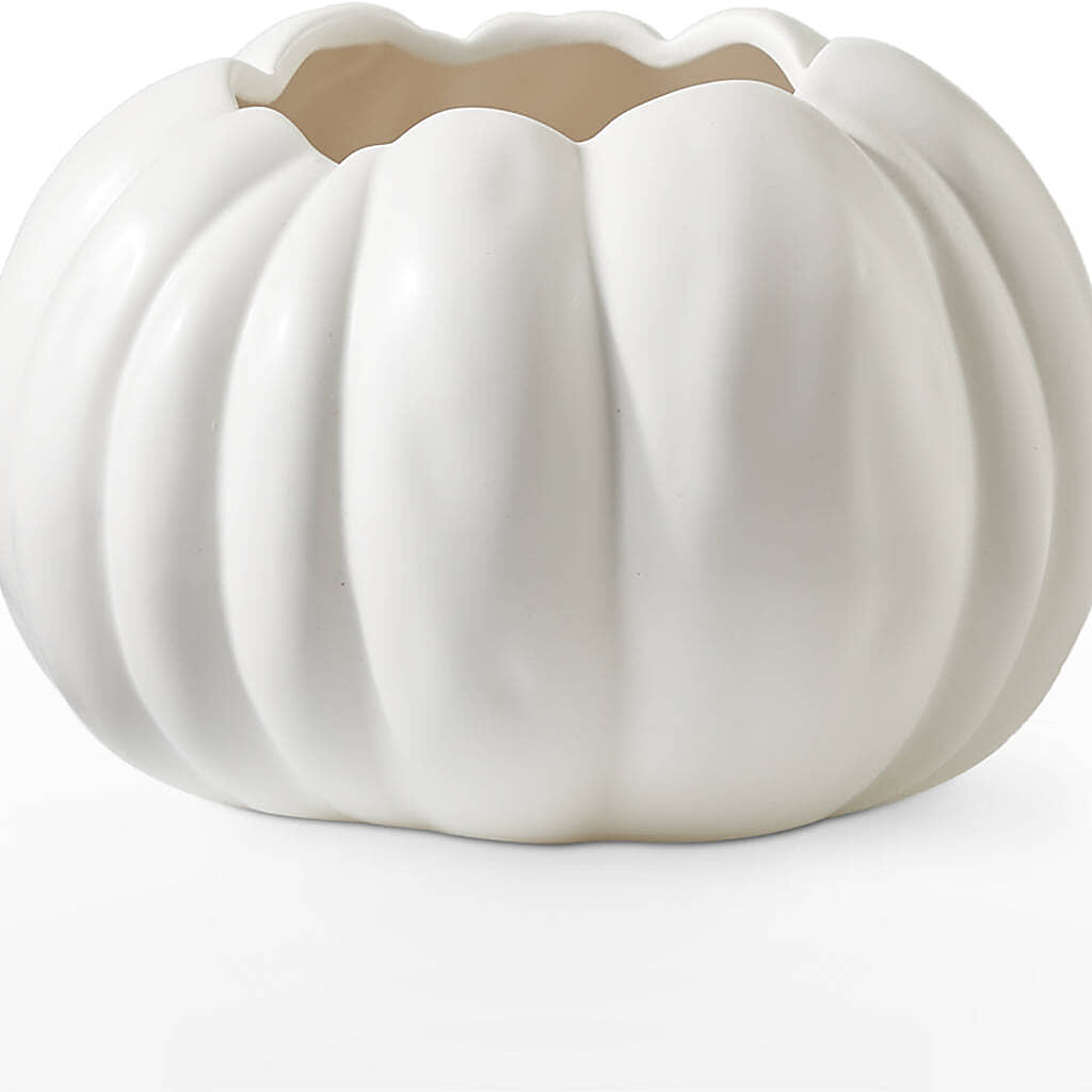 Pumpkin to Talk About Bouquet –  Dreamy Flowers Llc, Wesley Chapel FL